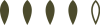 thumbnail_4foglie